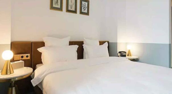 هتل کاستور اند پولوکس (Castor & Pollux Hotel) تفلیس