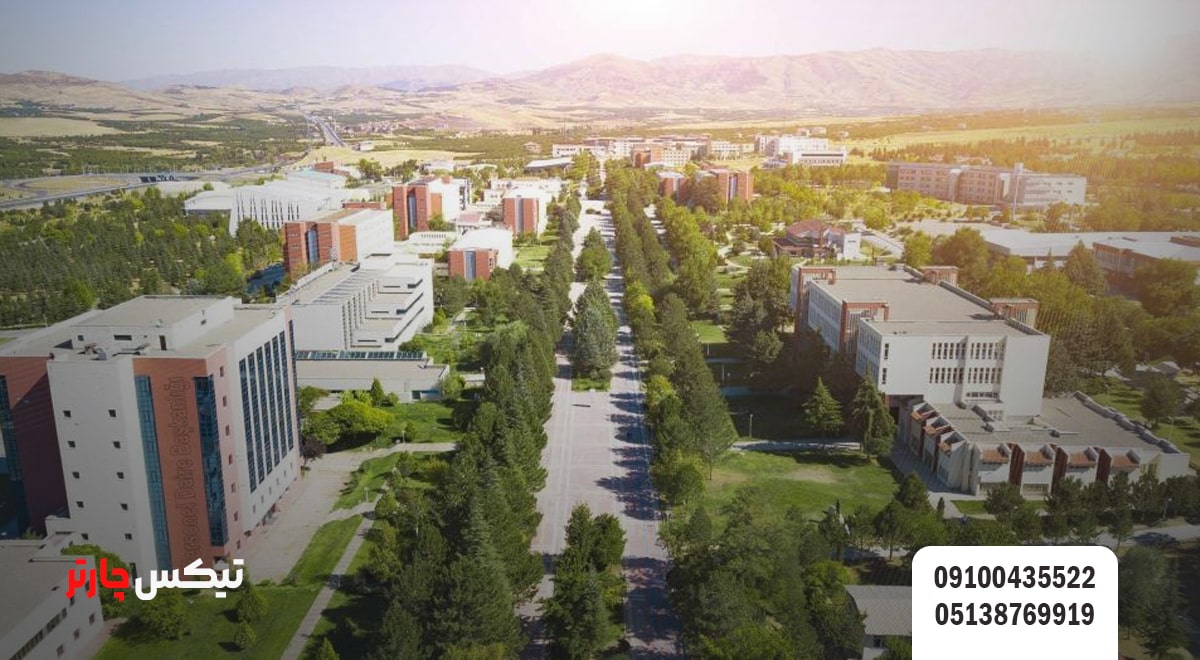 İnönü Üniversitesi-تیکس چارتر
